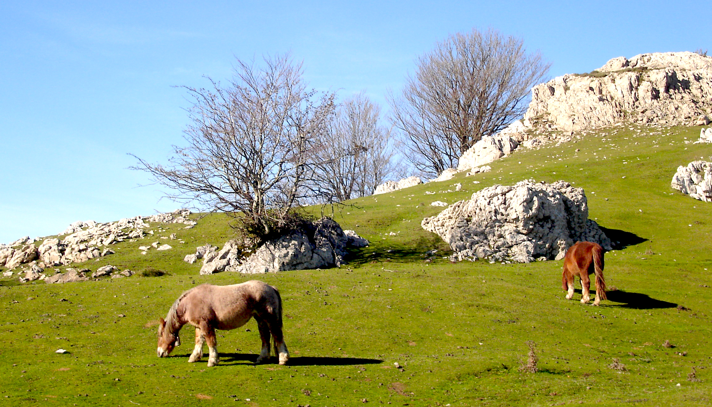Parc Naturel d'Aizkorri-Aratz